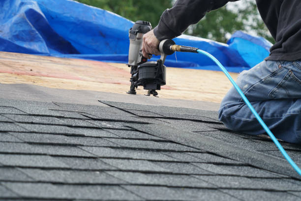 Best Local Roofing Companies  in Waymart, PA