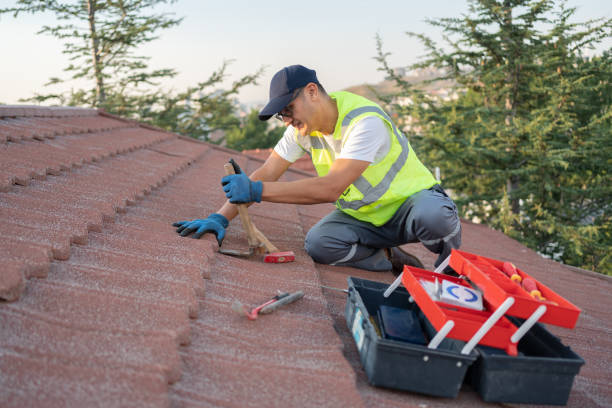 Best Local Roofing Companies  in Waymart, PA